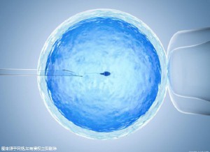 关于三代试管供卵代怀